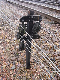 IMG 1618.jpg